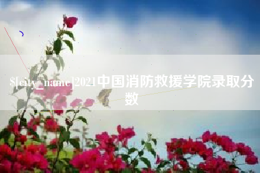 宁夏2021中国消防救援学院录取分数