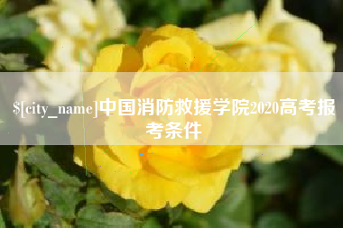 宁夏中国消防救援学院2020高考报考条件