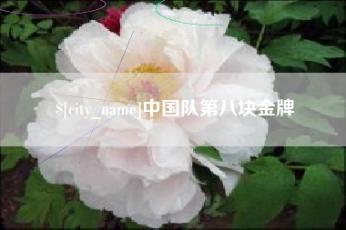 宁夏中国队第八块金牌