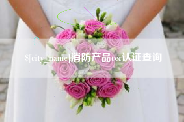宁夏消防产品ccc认证查询
