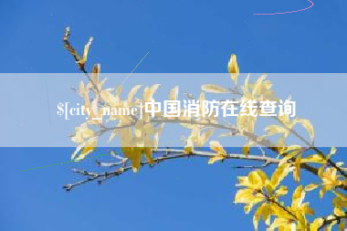 宁夏中国消防在线查询