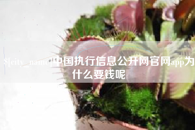 宁夏中国执行信息公开网官网app为什么要钱呢