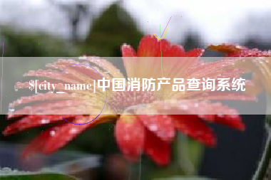 宁夏中国消防产品查询系统