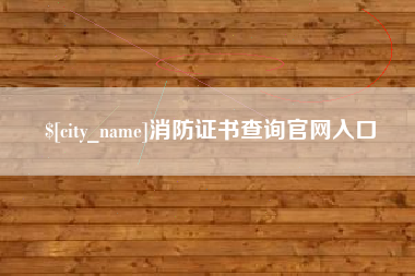 宁夏消防证书查询官网入口