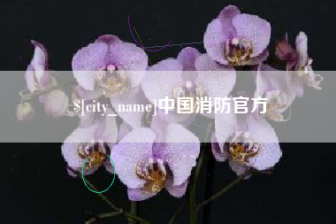 宁夏中国消防官方