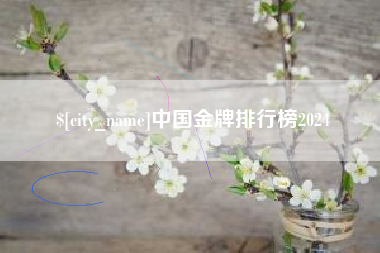 宁夏中国金牌排行榜2024