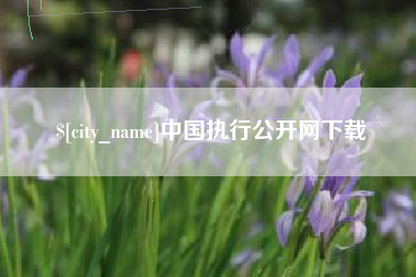 宁夏中国执行公开网下载