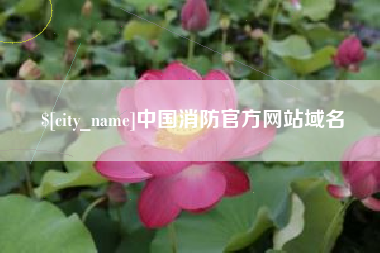 宁夏中国消防官方网站域名