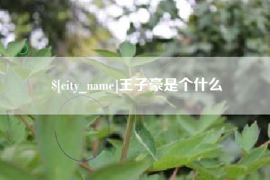 宁夏王子豪是个什么