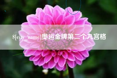 宁夏奥运金牌第二个九宫格
