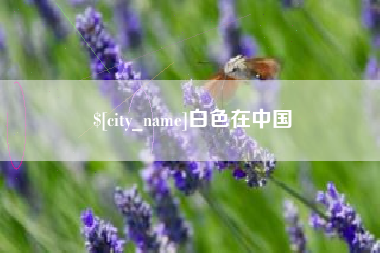 宁夏白色在中国