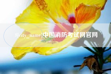 宁夏中国消防考试网官网