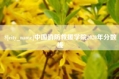 宁夏中国消防救援学院2020年分数线