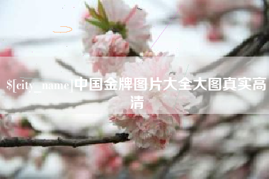 宁夏中国金牌图片大全大图真实高清