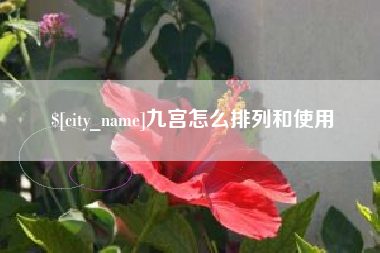 宁夏九宫怎么排列和使用