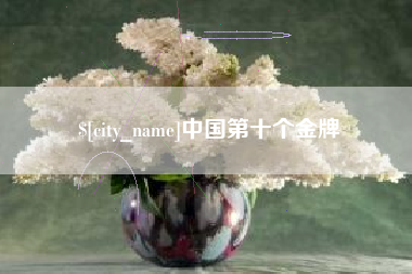 宁夏中国第十个金牌