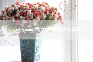 宁夏奥运连冠是什么意思
