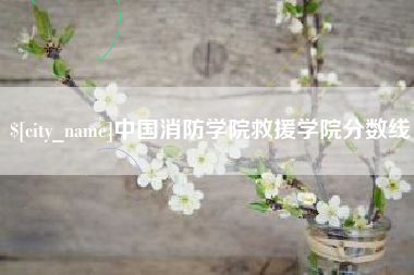 宁夏中国消防学院救援学院分数线