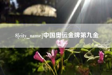 宁夏中国奥运金牌第九金