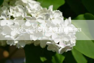 宁夏中国金牌有哪些2021