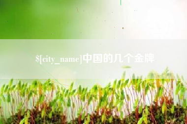 宁夏中国的几个金牌