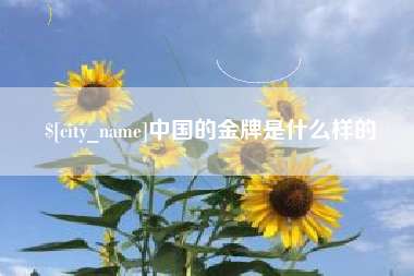 宁夏中国的金牌是什么样的
