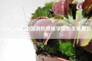 宁夏中国消防救援学院招生章程公布!