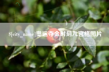 宁夏奥运夺金时刻九宫格图片