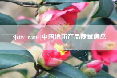 宁夏中国消防产品质量信息