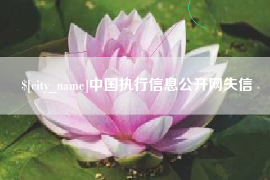 宁夏中国执行信息公开网失信