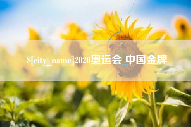 宁夏2020奥运会 中国金牌