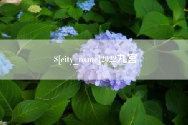 宁夏2022九宫