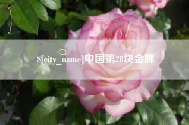 宁夏中国第28块金牌