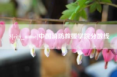 宁夏中国消防救援学院分数线