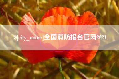 宁夏全国消防报名官网2021