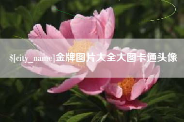 宁夏金牌图片大全大图卡通头像
