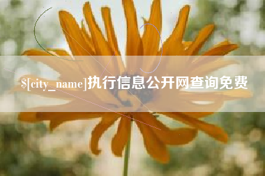 宁夏执行信息公开网查询免费