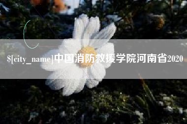 宁夏中国消防救援学院河南省2020